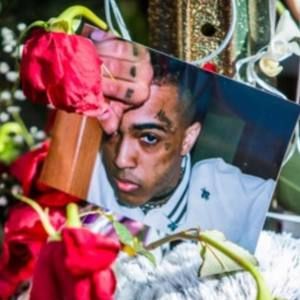 Meet your Posher, Coral